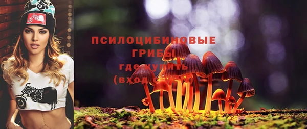 эйфоретик Осинники