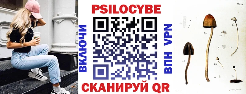 hydra сайт  Курчалой  Псилоцибиновые грибы MAGIC MUSHROOMS 