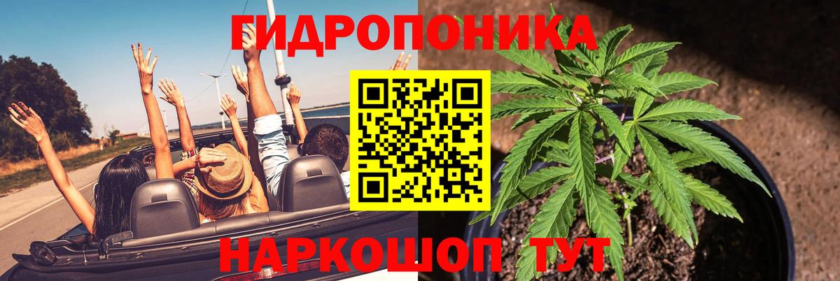 Канабис Ganja  Шишки марихуана Ganja  Вход с VPN  Курчалой  Бошки Шишки VHQ 